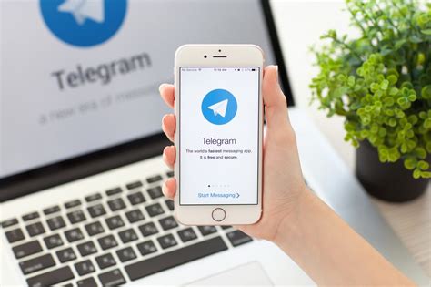 telegram software web app